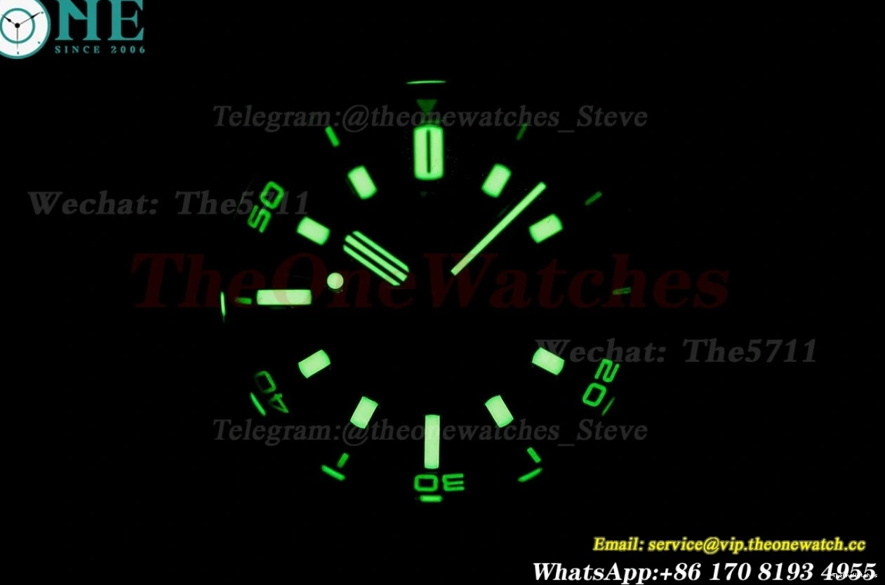 Stk Grey Offshore ZF A4308 Diver RU Oak 42mm 15720 SS Royal 0323